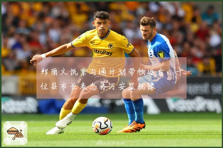 郑丽文抵京沟通计划带物返台，十位县市长表态蒋万安显犹豫