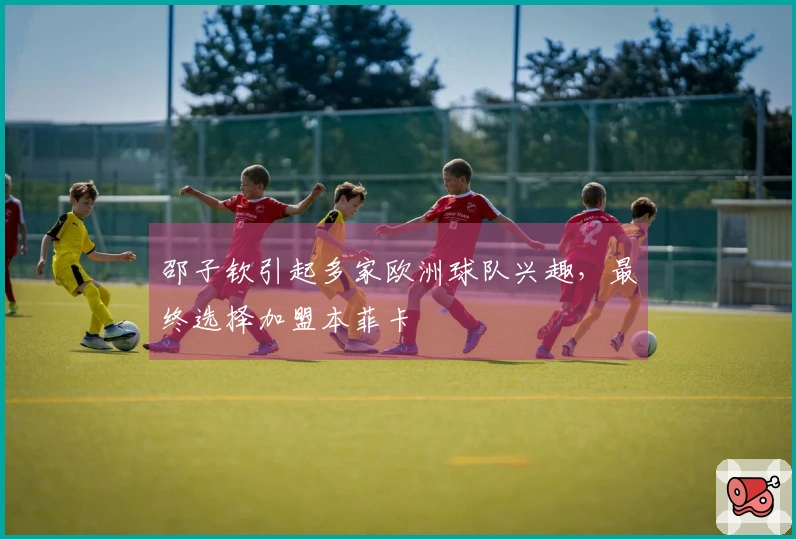 邵子钦引起多家欧洲球队兴趣，最终选择加盟本菲卡